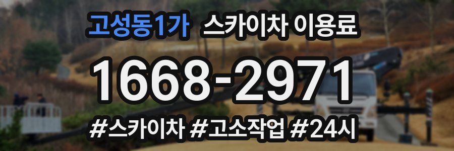고성동1가 스카이차 이용료
