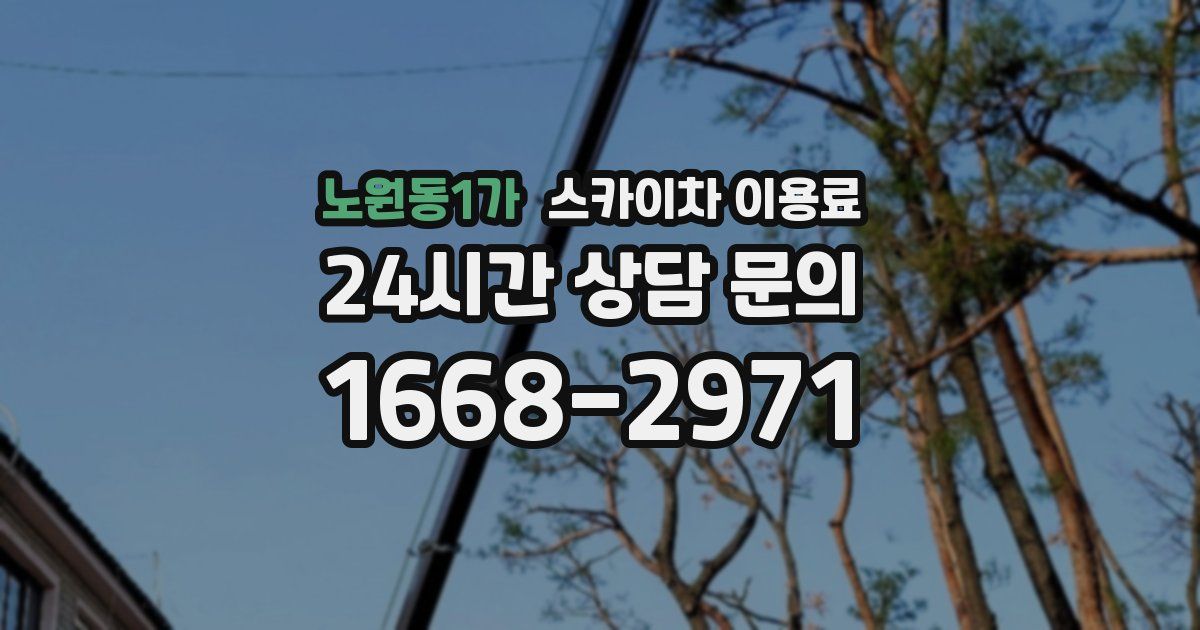 노원동1가 스카이차 이용료
