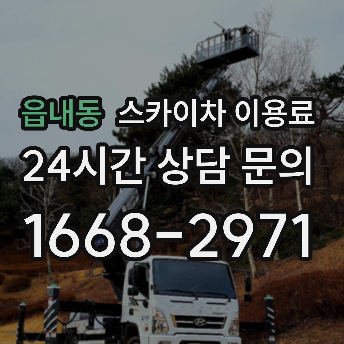 읍내동 스카이차 이용료