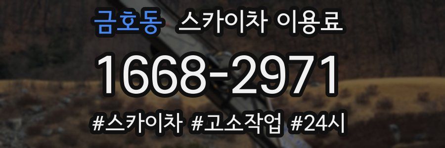 금호동 스카이차 이용료