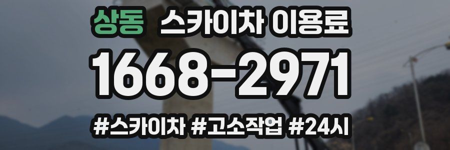 상동 스카이차 이용료