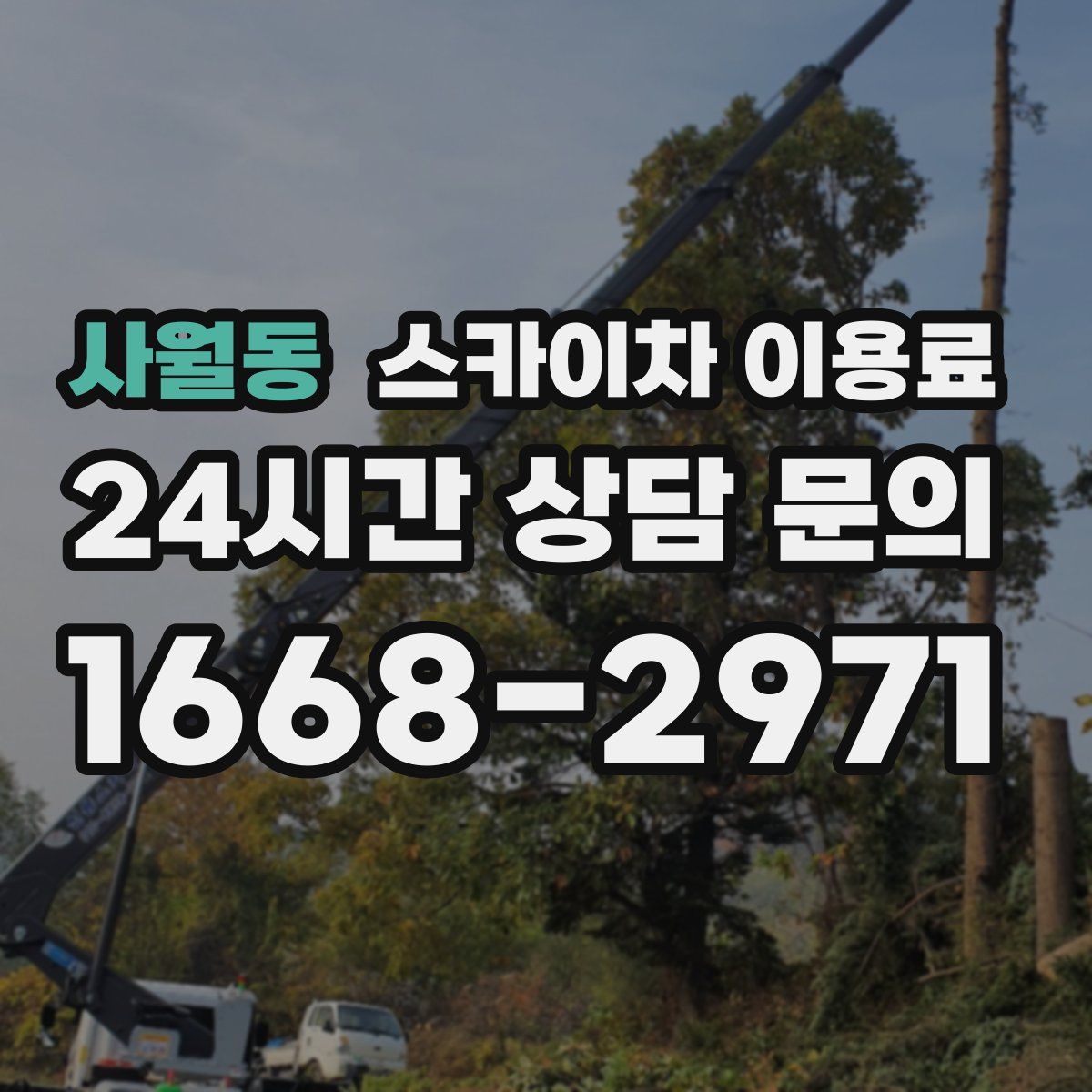 사월동 스카이차 이용료