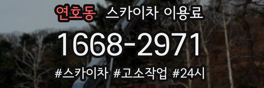 연호동 스카이차 이용료