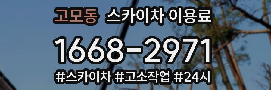 고모동 스카이차 이용료