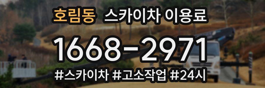 호림동 스카이차 이용료