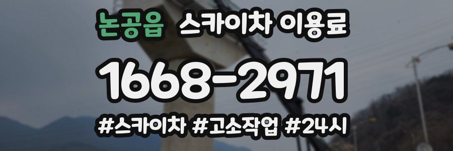논공읍 스카이차 이용료