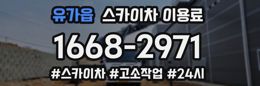 유가읍 스카이차 이용료