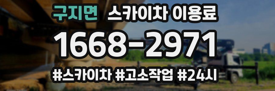 구지면 스카이차 이용료