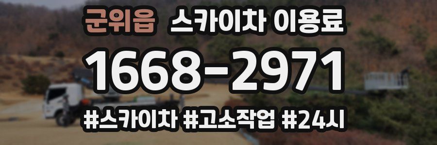 군위읍 스카이차 이용료