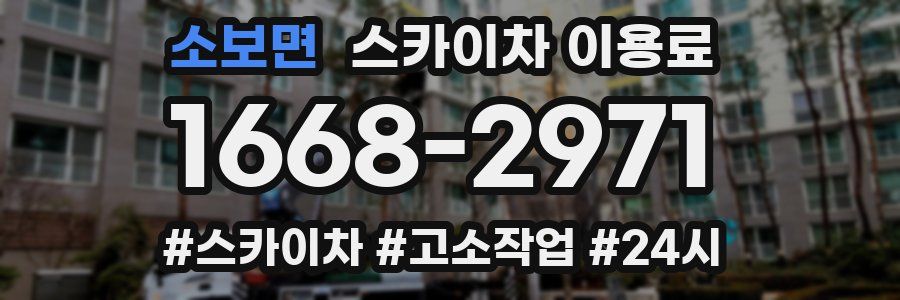 소보면 스카이차 이용료