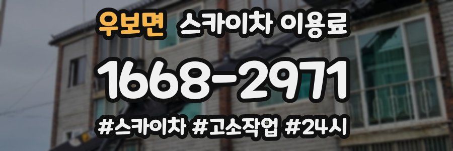 우보면 스카이차 이용료