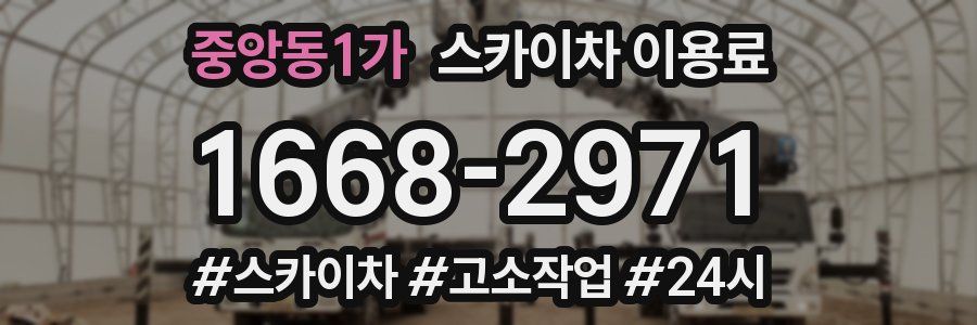 중앙동1가 스카이차 이용료