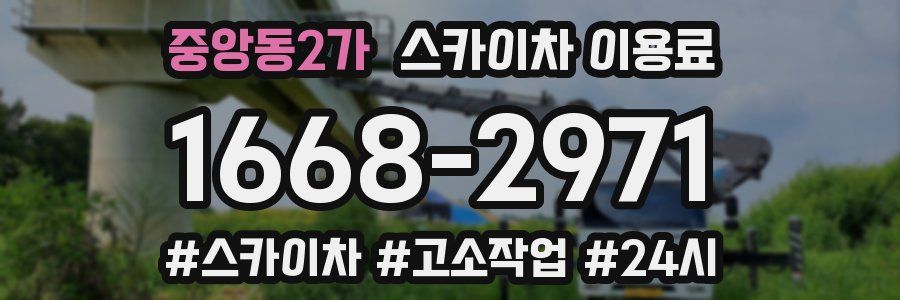 중앙동2가 스카이차 이용료