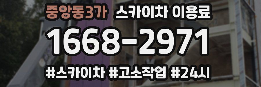 중앙동3가 스카이차 이용료