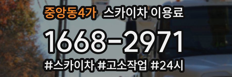 중앙동4가 스카이차 이용료
