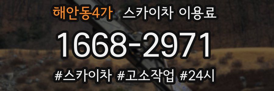 해안동4가 스카이차 이용료