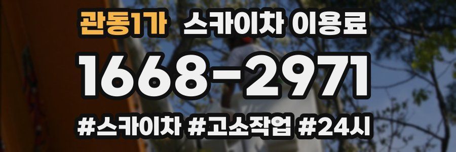 관동1가 스카이차 이용료
