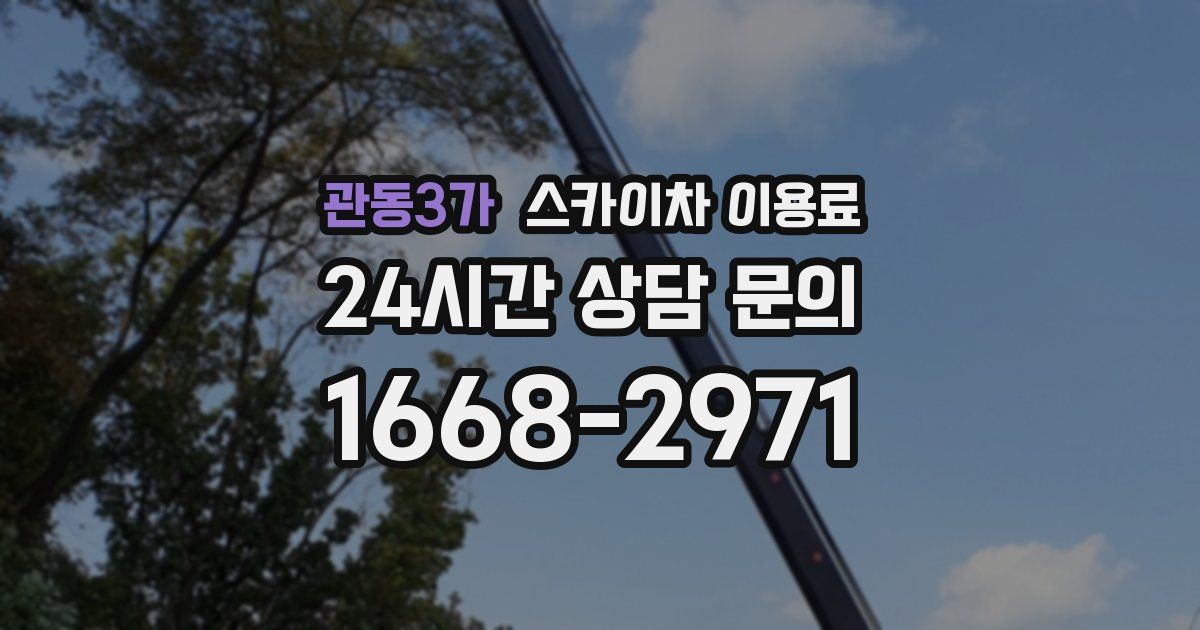 관동3가 스카이차 이용료