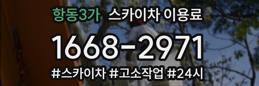 항동3가 스카이차 이용료