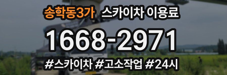 송학동3가 스카이차 이용료