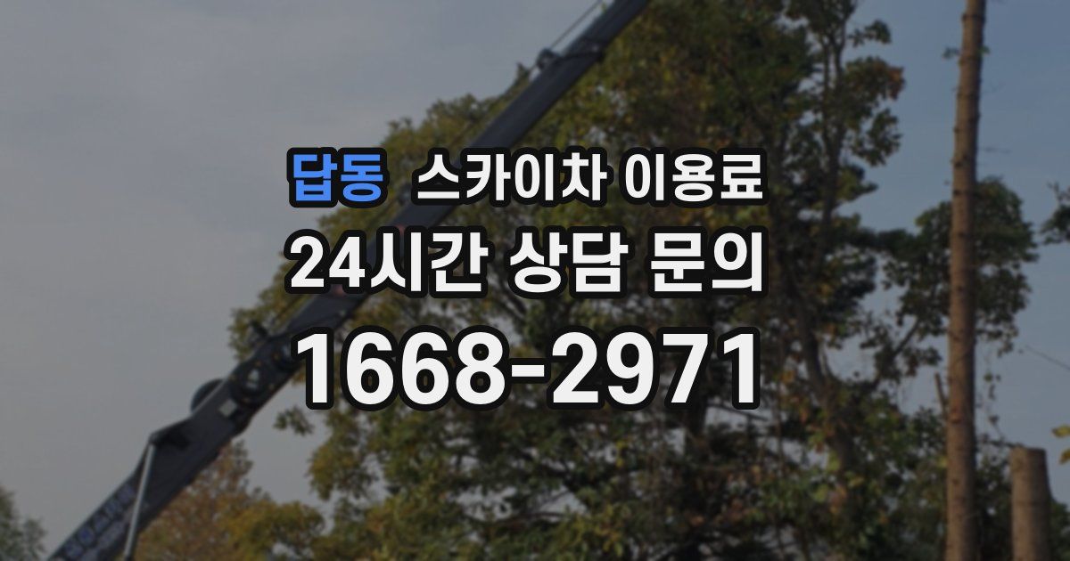 답동 스카이차 이용료