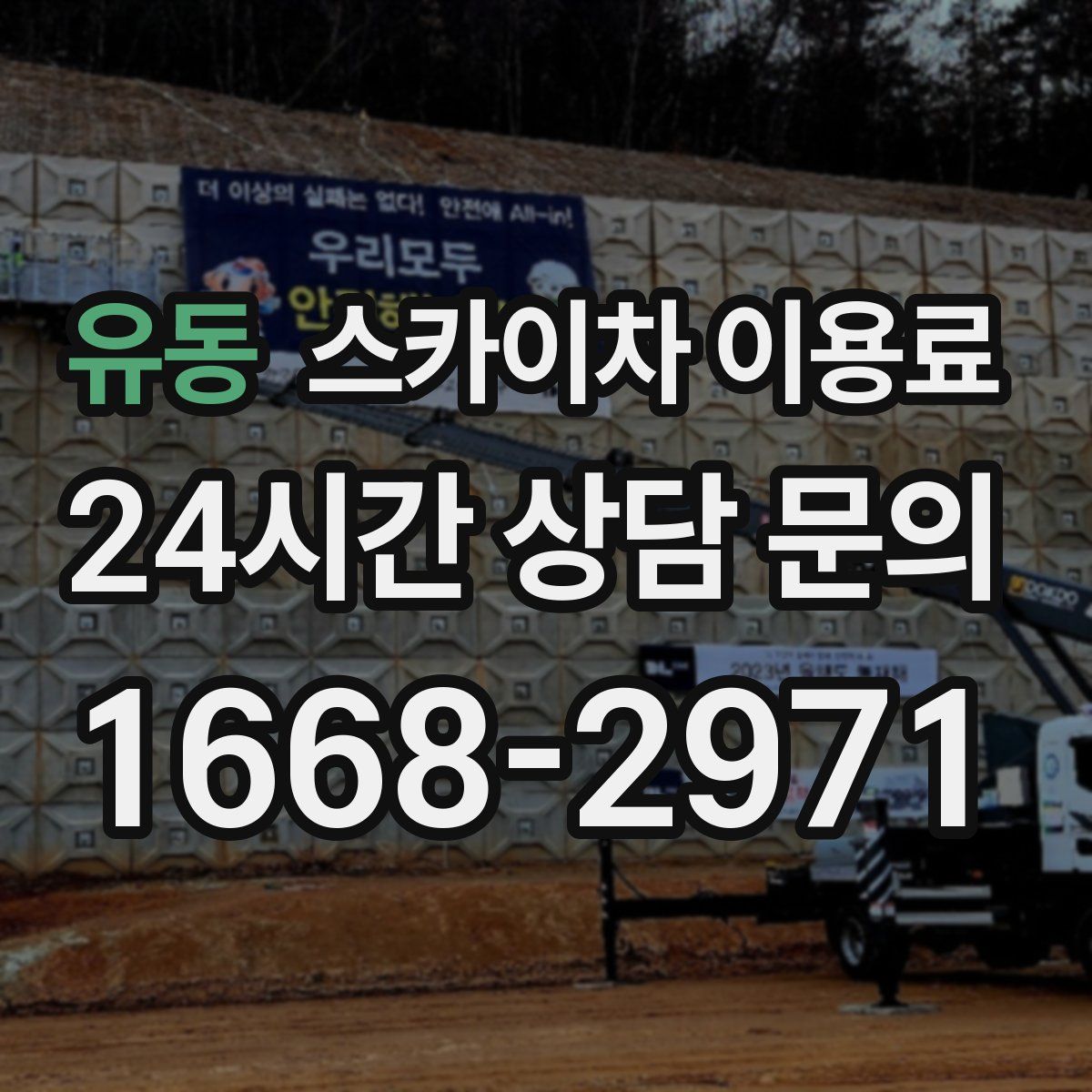 유동 스카이차 이용료