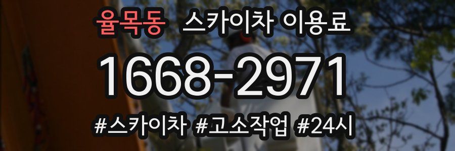 율목동 스카이차 이용료