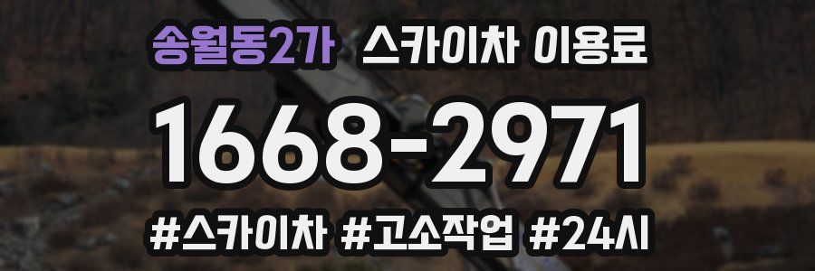 송월동2가 스카이차 이용료