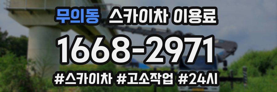 무의동 스카이차 이용료