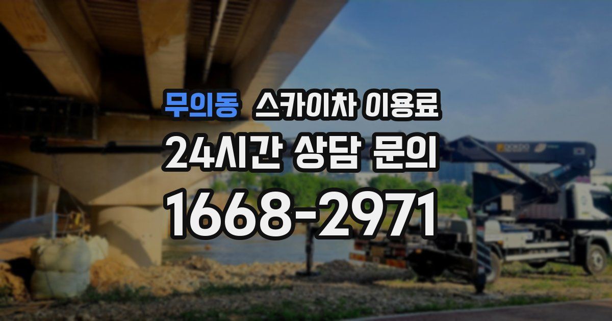 무의동 스카이차 이용료