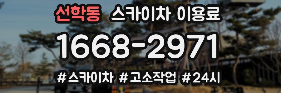 선학동 스카이차 이용료