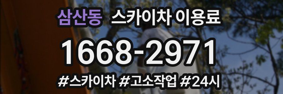 삼산동 스카이차 이용료