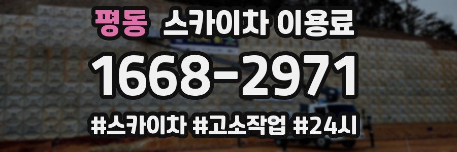 평동 스카이차 이용료