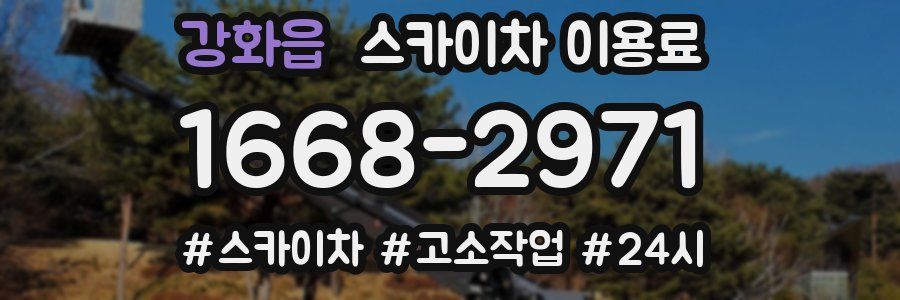강화읍 스카이차 이용료