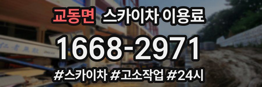 교동면 스카이차 이용료