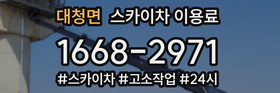 대청면 스카이차 이용료