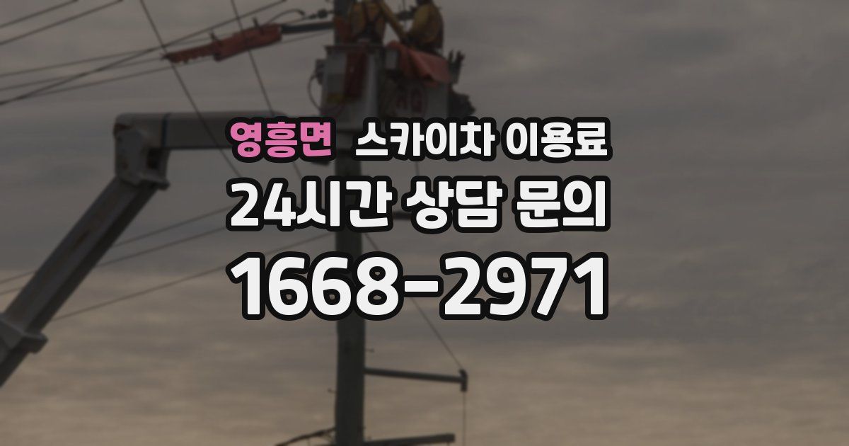 영흥면 스카이차 이용료