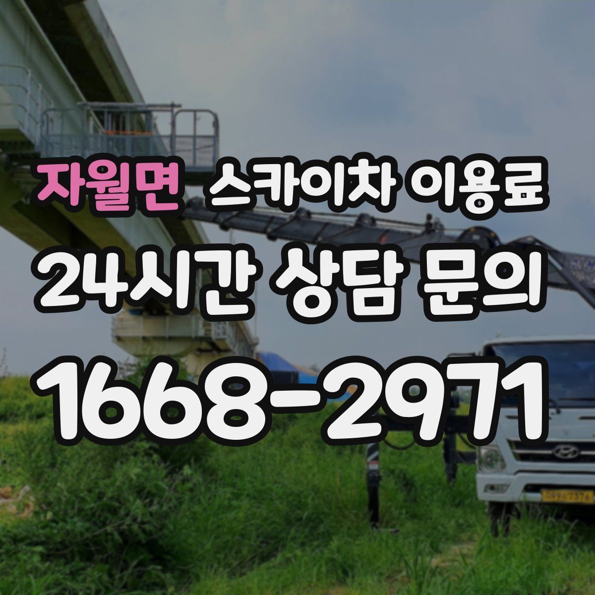 자월면 스카이차 이용료