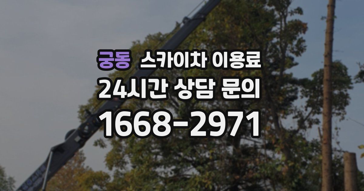궁동 스카이차 이용료