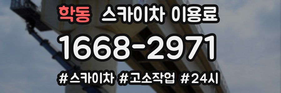 학동 스카이차 이용료