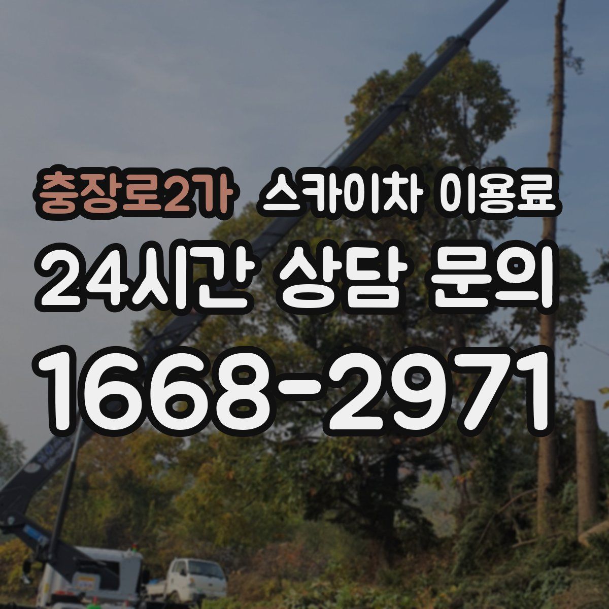 충장로2가 스카이차 이용료
