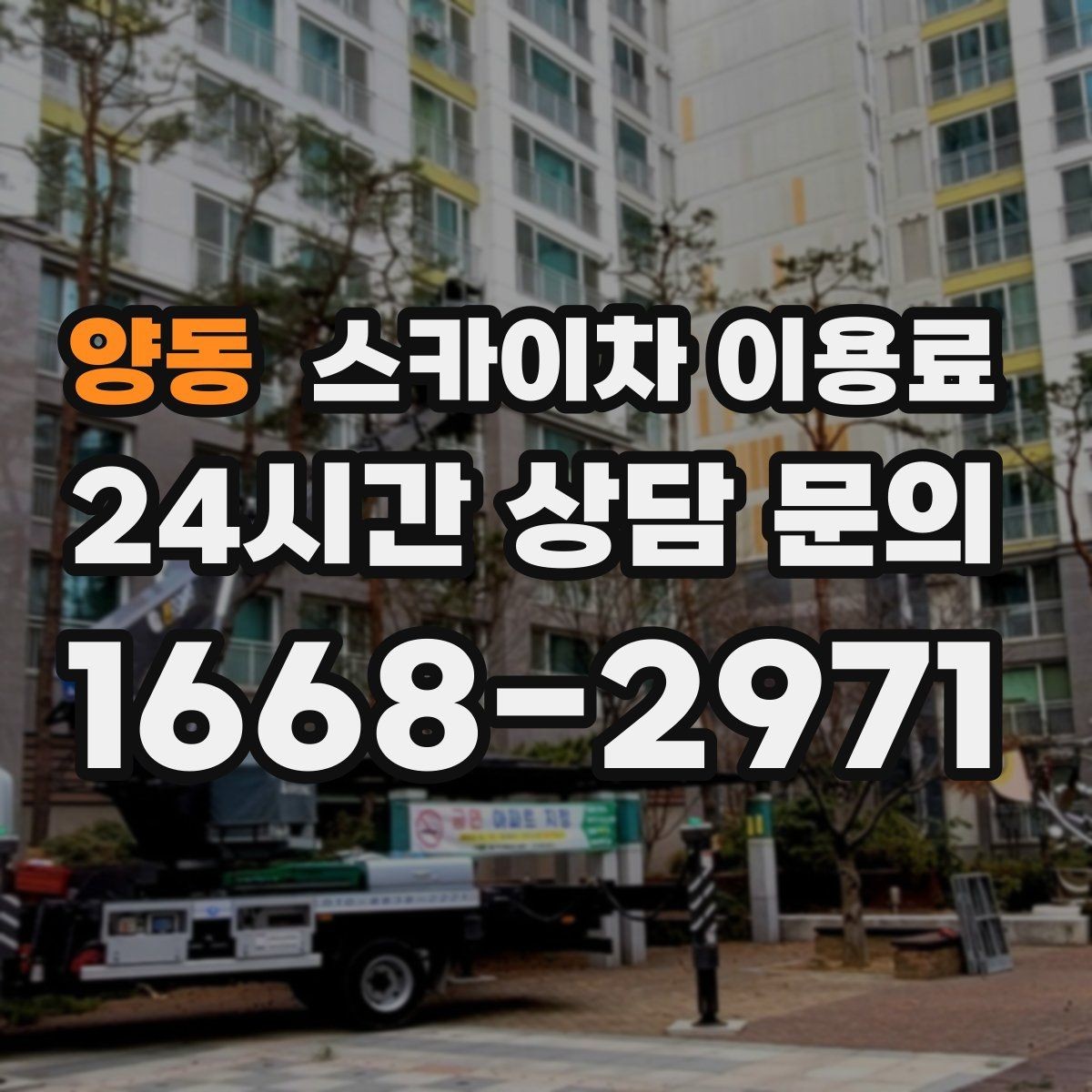 양동 스카이차 이용료 비교 시 서비스 차이 확인하기