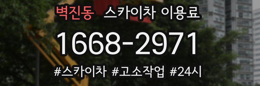 벽진동 스카이차 이용료