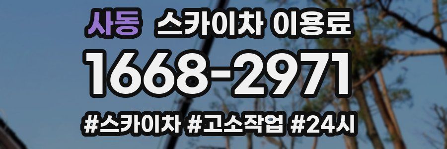 사동 스카이차 이용료
