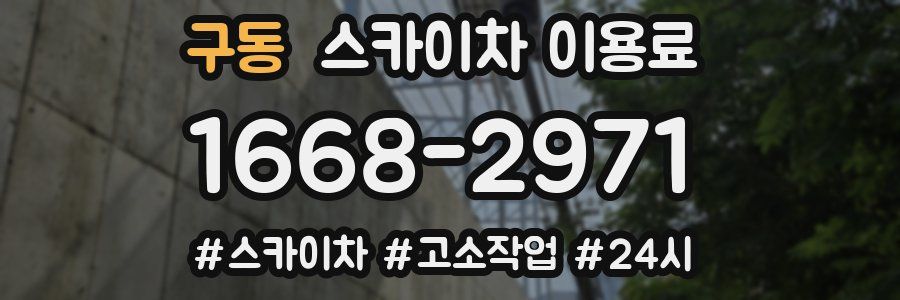 구동 스카이차 이용료