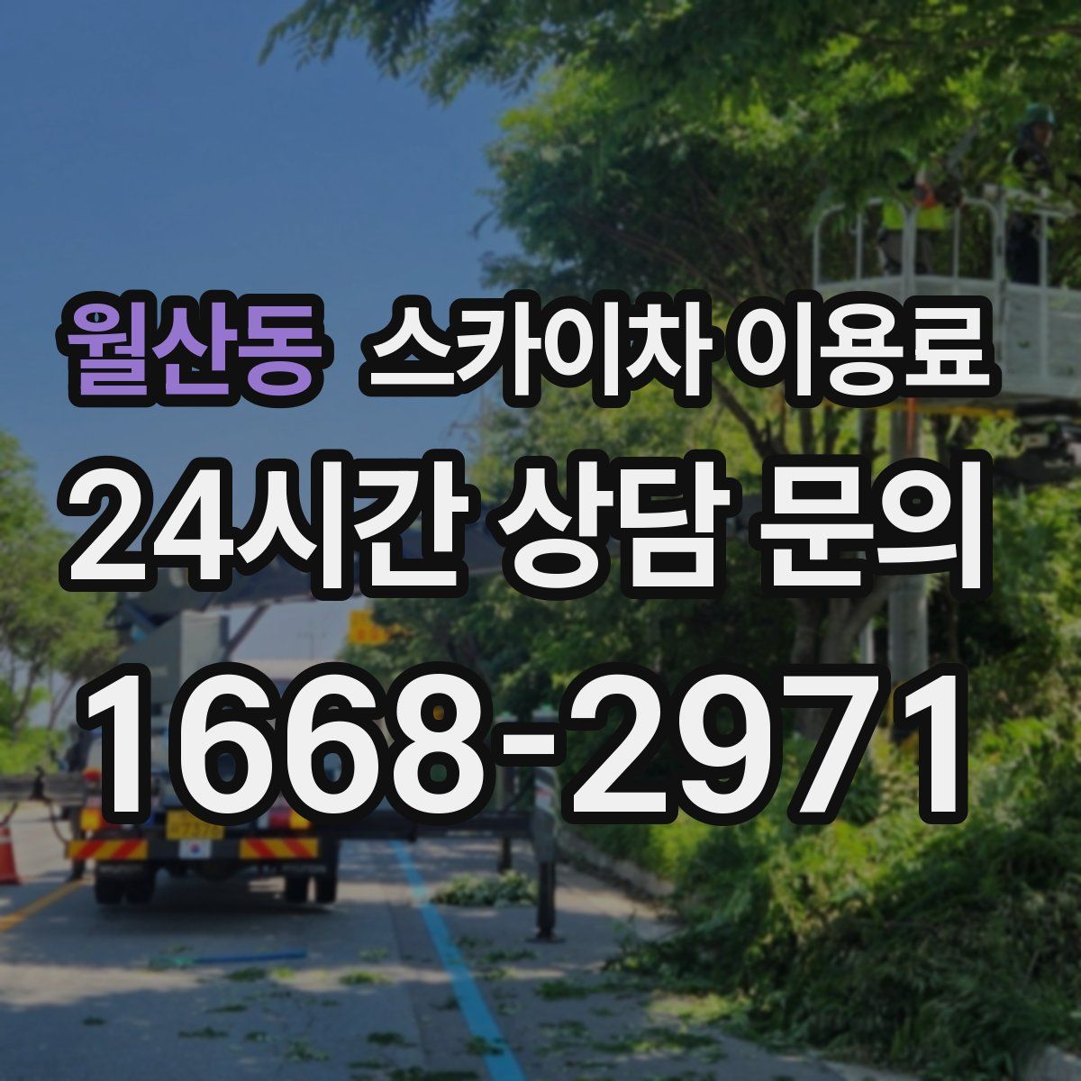 월산동 스카이차 이용료