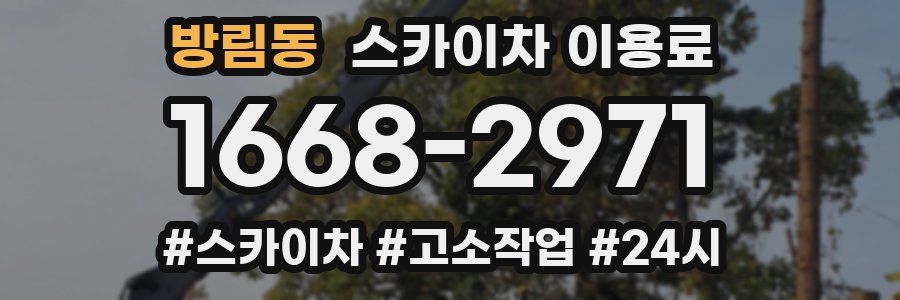 방림동 스카이차 이용료