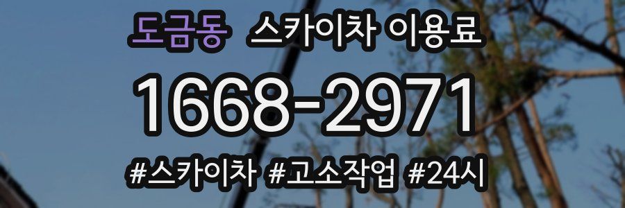 도금동 스카이차 이용료