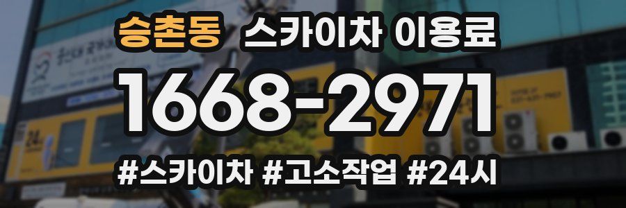 승촌동 스카이차 이용료