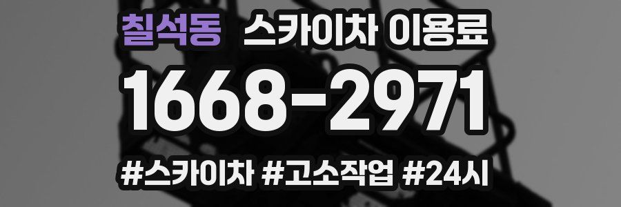 칠석동 스카이차 이용료